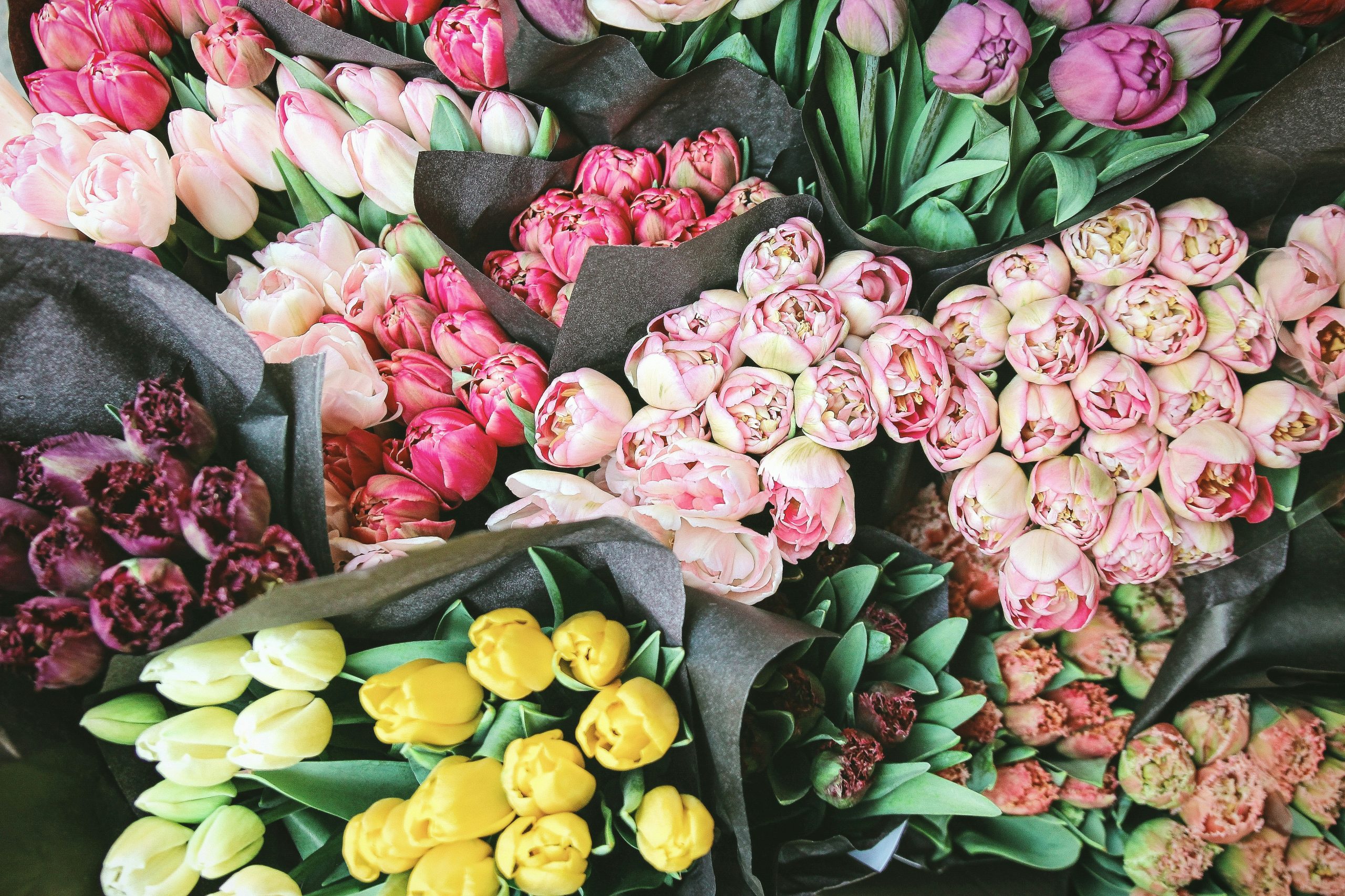 Avianca Transported 24 Million Flower Stems To The U.S. In 24 Hours